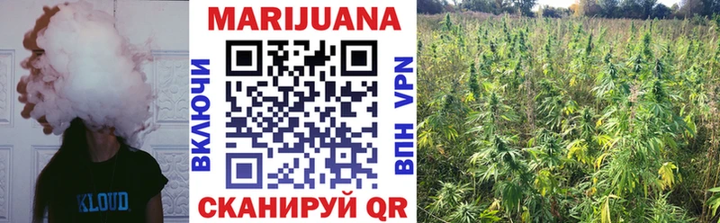 Виды наркотиков купить Можга Кодеин Конопля Меф мяу мяу ГАШ