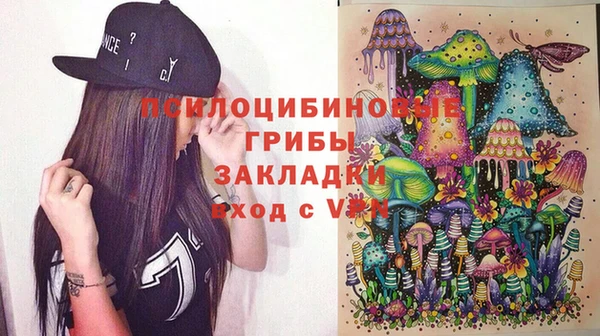 крисы Алексин