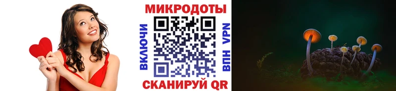 где купить наркоту Можга Псилоцибиновые грибы мицелий